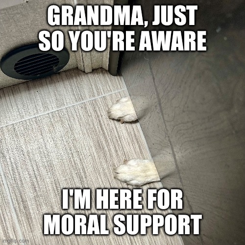 GRANDMA, JUST SO YOU'RE AWARE; I'M HERE FOR MORAL SUPPORT | made w/ Imgflip meme maker