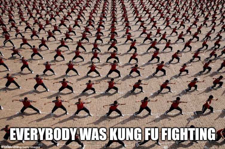 Everybody was kung fu fighting | EVERYBODY WAS KUNG FU FIGHTING | image tagged in everybody was kung fu fighting | made w/ Imgflip meme maker
