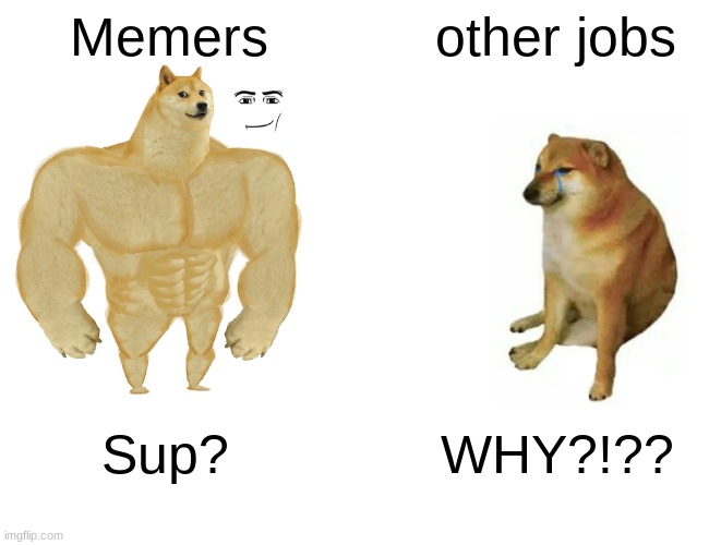 MEmers vs Other fobs | Memers; other jobs; Sup? WHY?!?? | image tagged in memes,buff doge vs cheems | made w/ Imgflip meme maker
