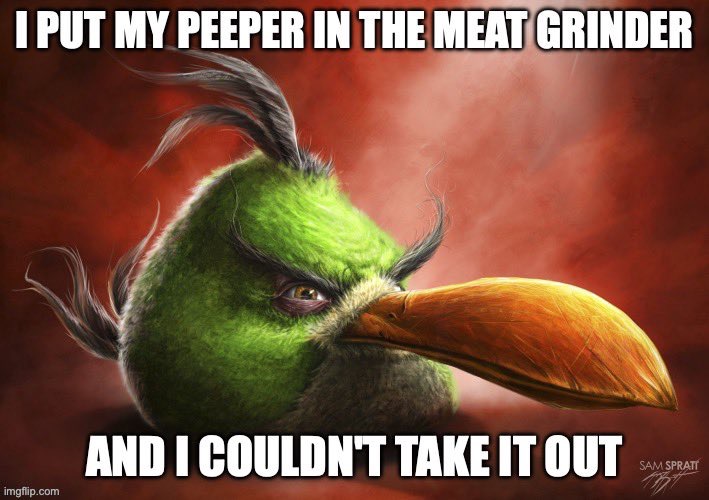 Angry bird meme boomerang meat grinder peeper | image tagged in meme,funny,fun,angry birds,meat,peepee | made w/ Imgflip meme maker