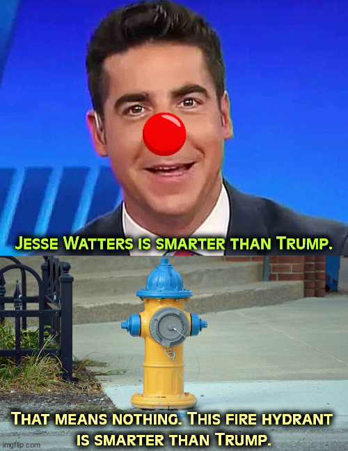 Jesse Watters is smarter than Trump. That means nothing. This fire hydrant 
is smarter than Trump. | image tagged in jesse watters,stupid,trump,idiot,fire hydrant | made w/ Imgflip meme maker