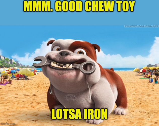 Dog with wrench | MMM. GOOD CHEW TOY; LOTSA IRON | image tagged in dog with wrench | made w/ Imgflip meme maker