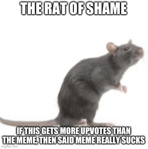 Rat of shame | image tagged in rat of shame | made w/ Imgflip meme maker