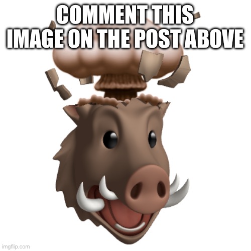 Boar Head explode | COMMENT THIS IMAGE ON THE POST ABOVE | image tagged in boar head explode | made w/ Imgflip meme maker