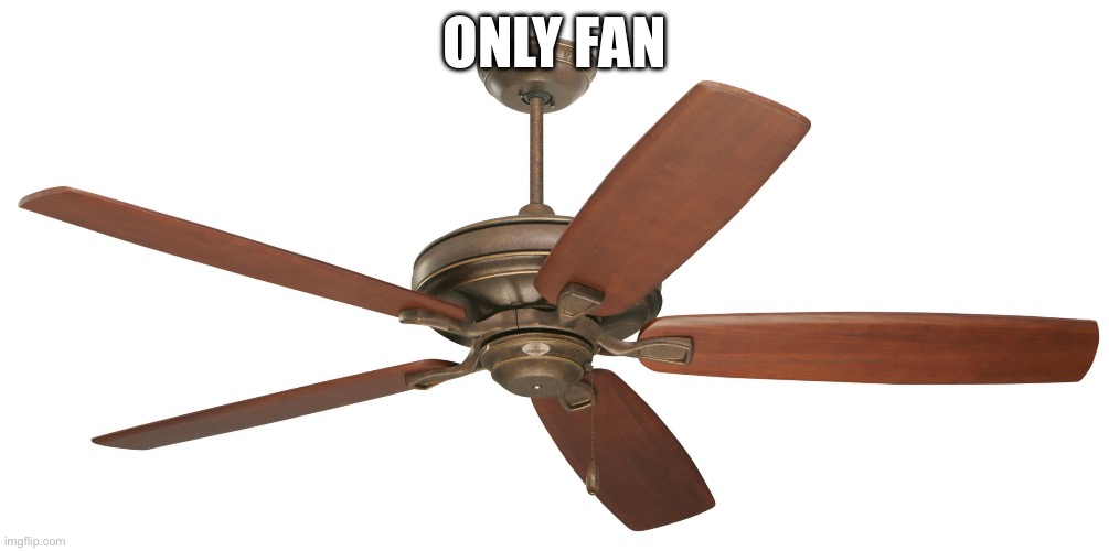 Ceiling fan | ONLY FAN | image tagged in ceiling fan | made w/ Imgflip meme maker