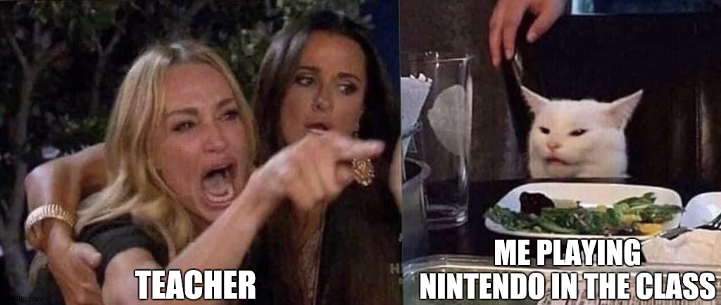 woman yelling at cat | TEACHER; ME PLAYING NINTENDO IN THE CLASS | image tagged in woman yelling at cat | made w/ Imgflip meme maker