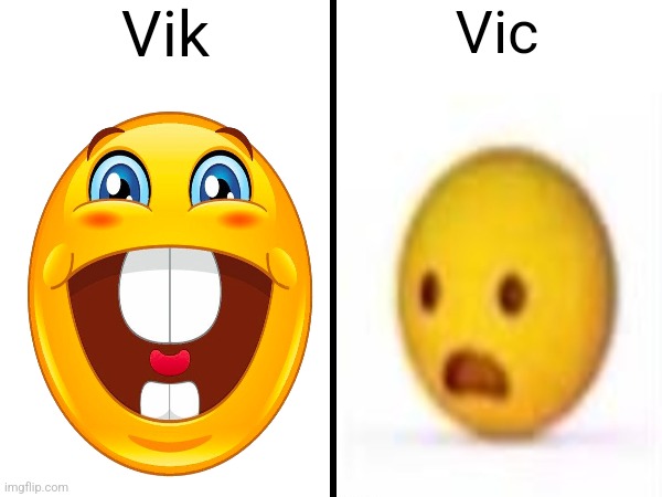 . | Vik; Vic | image tagged in square divided in half | made w/ Imgflip meme maker