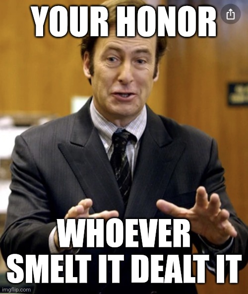 Your Honor, | YOUR HONOR; WHOEVER SMELT IT DEALT IT | image tagged in your honor | made w/ Imgflip meme maker