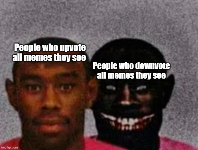 I'm out of ideas for the title | People who upvote all memes they see; People who downvote all memes they see | image tagged in good tyler and bad tyler,memes,imgflip,upvote,downvote,imgflip humor | made w/ Imgflip meme maker