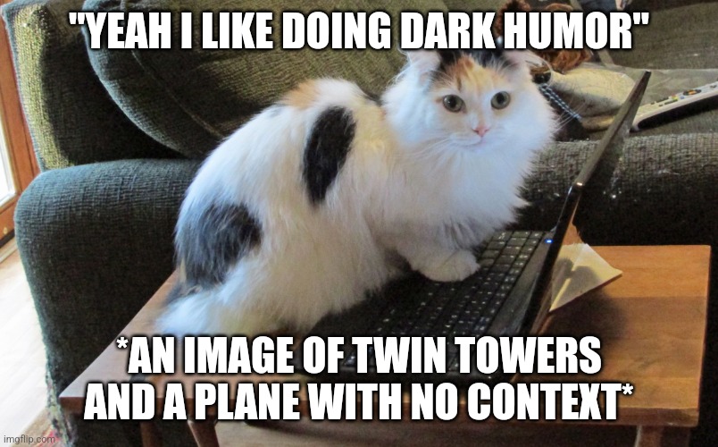 some actually do this | "YEAH I LIKE DOING DARK HUMOR"; *AN IMAGE OF TWIN TOWERS AND A PLANE WITH NO CONTEXT* | image tagged in what human // cat on laptop | made w/ Imgflip meme maker