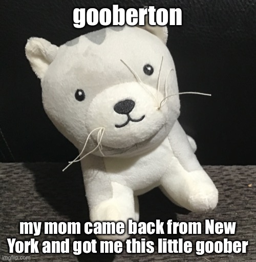 gooberton; my mom came back from New York and got me this little goober | made w/ Imgflip meme maker