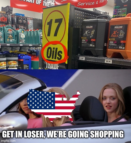 GET IN LOSER, WE’RE GOING SHOPPING | image tagged in get in loser we're going shopping | made w/ Imgflip meme maker