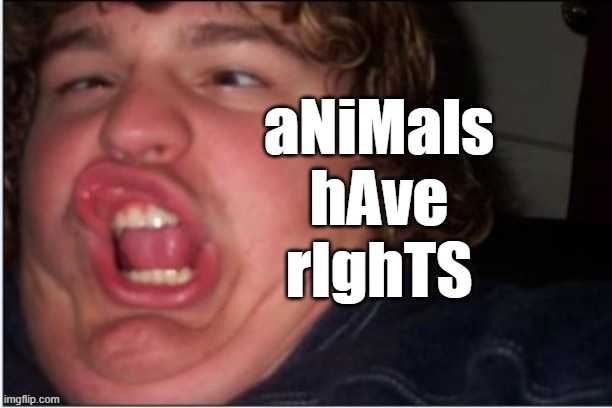 Herp Derp | aNiMals
hAve
rIghTS | image tagged in herp derp | made w/ Imgflip meme maker