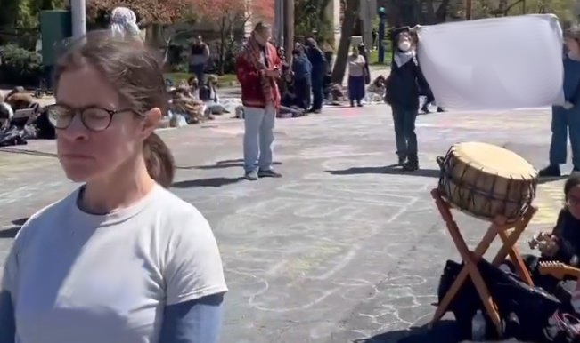Ineffective Counter-Protest Lady Blank Meme Template