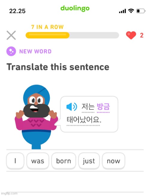 what | image tagged in duolingo,memes,funny | made w/ Imgflip meme maker