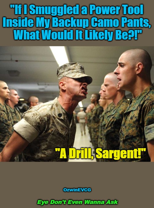 Eye Don't Even Wanna Ask | "If I Smuggled a Power Tool 

Inside My Backup Camo Pants, 

What Would It Likely Be?!"; "A Drill, Sargent!"; OzwinEVCG; Eye Don't Even Wanna Ask | image tagged in shouting soldiers,answers,unsolved mysteries,questions,clothes,tools | made w/ Imgflip meme maker