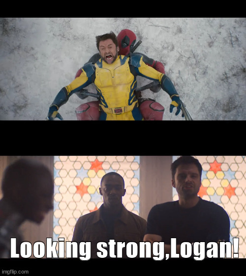 Falcon,The Winter Soldier,Deadpool and Wolverine | Looking strong,Logan! | image tagged in marvel,falcon,deadpool,wolverine,winter soldier | made w/ Imgflip meme maker
