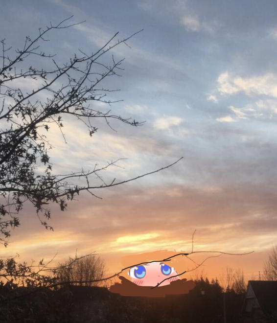 Sunset Blank Meme Template