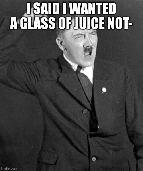 Angry Hitler | I SAID I WANTED A GLASS OF JUICE NOT- | image tagged in angry hitler | made w/ Imgflip meme maker