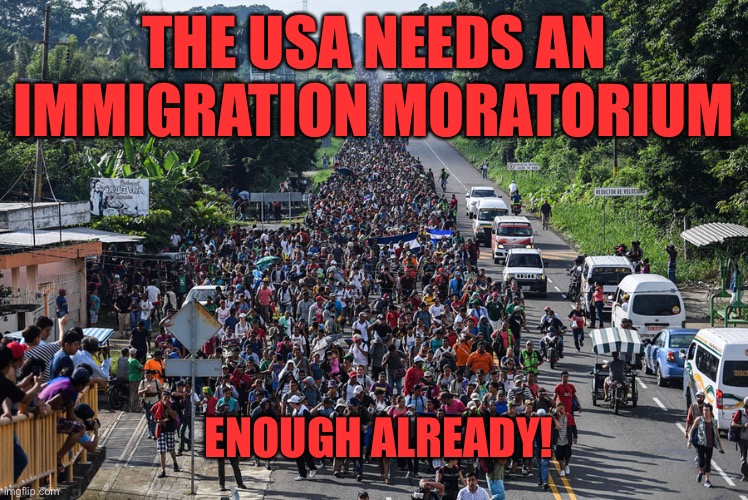 Biden has let in 20 years worth of immigrants. No more for 20 years! An idea whose time has come. | THE USA NEEDS AN IMMIGRATION MORATORIUM; ENOUGH ALREADY! | image tagged in immigrant caravan,moratorium,20 years | made w/ Imgflip meme maker