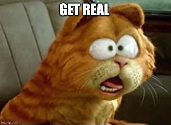 Get real | GET REAL | image tagged in shockedfield | made w/ Imgflip meme maker
