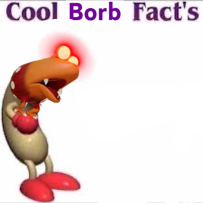 High Quality cool borb facts Blank Meme Template