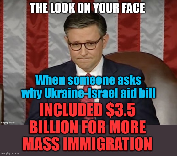 Speaker Johnson sold out to the Dems. | When someone asks why Ukraine-Israel aid bill; INCLUDED $3.5 BILLION FOR MORE MASS IMMIGRATION | image tagged in the look on your face,3half billion dollars,mass immigration,sold out,speaker johnson,ukraine aid bill | made w/ Imgflip meme maker
