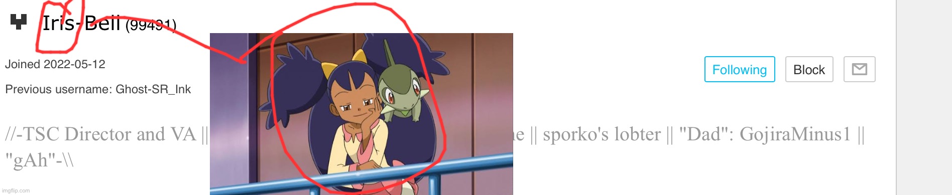 image tagged in iris pokemon | made w/ Imgflip meme maker