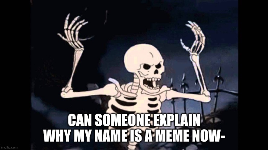 please explain.. | CAN SOMEONE EXPLAIN WHY MY NAME IS A MEME NOW- | image tagged in spooky skeleton | made w/ Imgflip meme maker