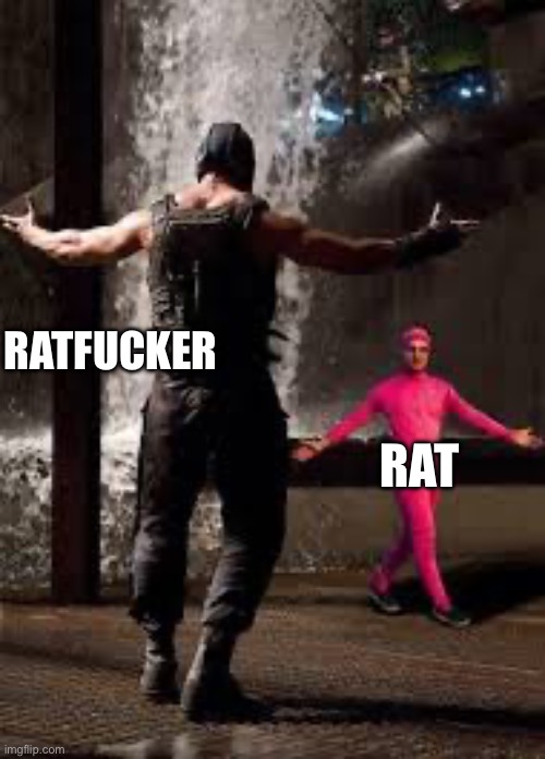 pink guy vs bane | RATFUCKER RAT | image tagged in pink guy vs bane | made w/ Imgflip meme maker