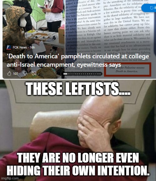 They are no longer even hiding it | THESE LEFTISTS.... THEY ARE NO LONGER EVEN HIDING THEIR OWN INTENTION. | image tagged in memes,captain picard facepalm | made w/ Imgflip meme maker