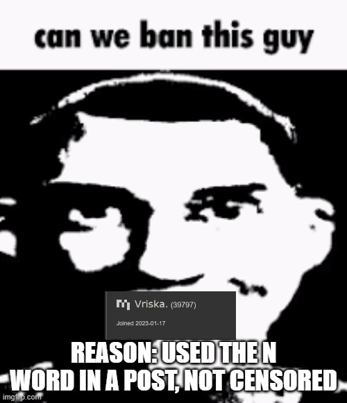 Can we ban this guy | REASON: USED THE N WORD IN A POST, NOT CENSORED | image tagged in can we ban this guy | made w/ Imgflip meme maker