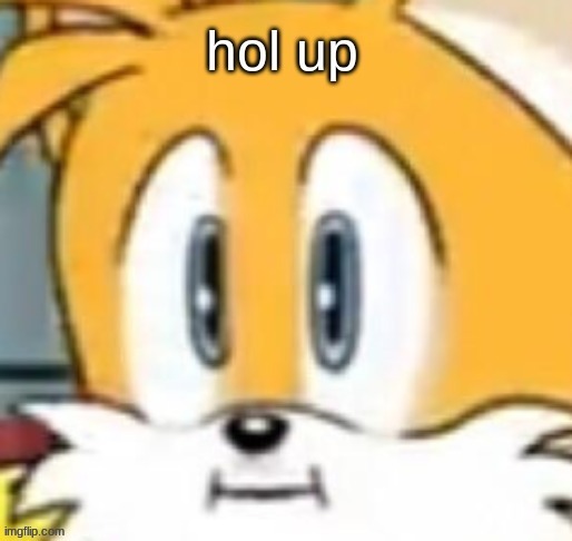 confused tails | image tagged in confused tails | made w/ Imgflip meme maker