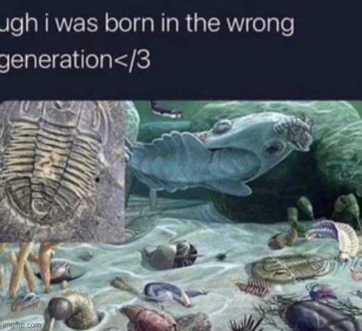 Wrong generation | made w/ Imgflip meme maker