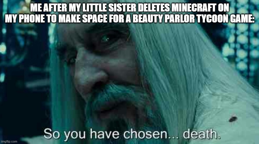 So you have chosen death | ME AFTER MY LITTLE SISTER DELETES MINECRAFT ON MY PHONE TO MAKE SPACE FOR A BEAUTY PARLOR TYCOON GAME: | image tagged in so you have chosen death | made w/ Imgflip meme maker
