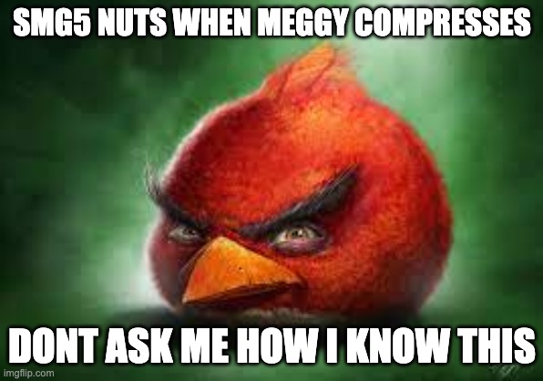 Realistic Red Angry Birds | SMG5 NUTS WHEN MEGGY COMPRESSES; DONT ASK ME HOW I KNOW THIS | image tagged in realistic red angry birds | made w/ Imgflip meme maker