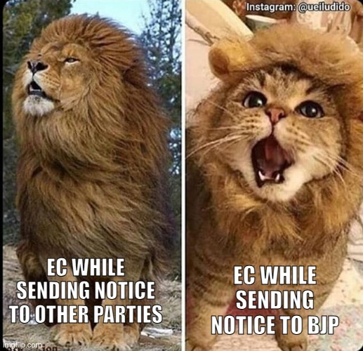 Current politics in India | EC WHILE SENDING NOTICE TO BJP; EC WHILE SENDING NOTICE TO OTHER PARTIES | image tagged in lion-cat | made w/ Imgflip meme maker