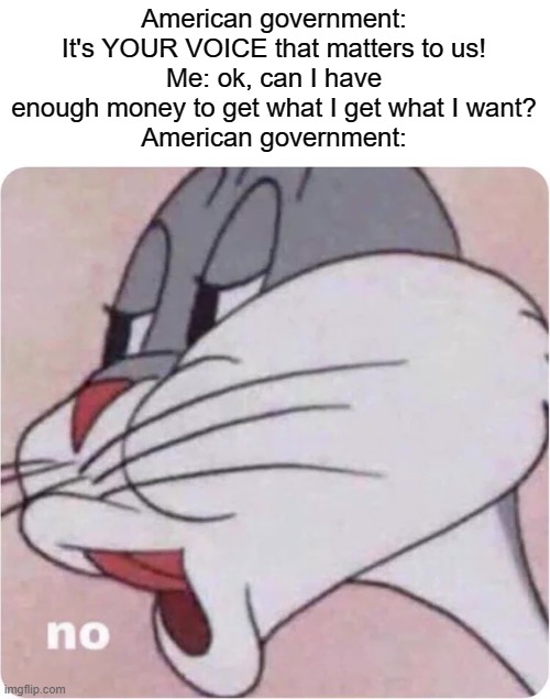 Bugs Bunny No | American government: It's YOUR VOICE that matters to us!
Me: ok, can I have enough money to get what I get what I want?
American government: | image tagged in bugs bunny no | made w/ Imgflip meme maker