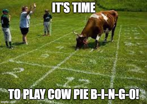 Cow Pie Bingo | IT'S TIME; TO PLAY COW PIE B-I-N-G-0! | image tagged in cow pie bingo | made w/ Imgflip meme maker