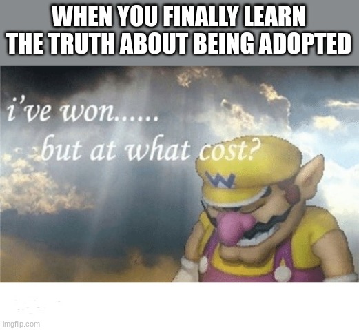 Wario sad | WHEN YOU FINALLY LEARN THE TRUTH ABOUT BEING ADOPTED | image tagged in wario sad | made w/ Imgflip meme maker