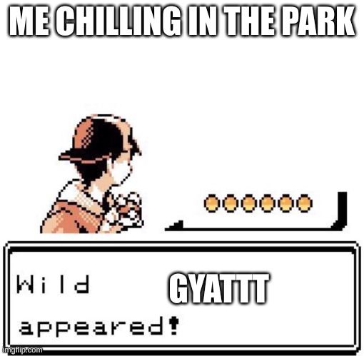 Blank Wild Pokemon Appears | ME CHILLING IN THE PARK; GYATTT | image tagged in blank wild pokemon appears | made w/ Imgflip meme maker