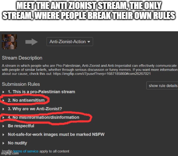 They break their own rules lmao | MEET THE ANTI ZIONIST STREAM, THE ONLY STREAM, WHERE PEOPLE BREAK THEIR OWN RULES | image tagged in stupid,rules | made w/ Imgflip meme maker