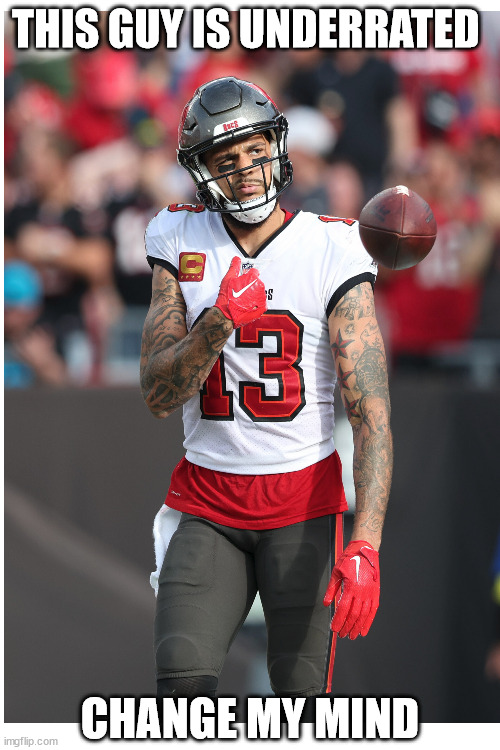 mike evans is the goat of tampa | THIS GUY IS UNDERRATED; CHANGE MY MIND | image tagged in sports,nfl,nfl football,change my mind | made w/ Imgflip meme maker