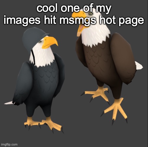 no wonder it got 17 upvotes and 2 different people eventually commented on it | cool one of my images hit msmgs hot page | image tagged in tf2 eagles | made w/ Imgflip meme maker