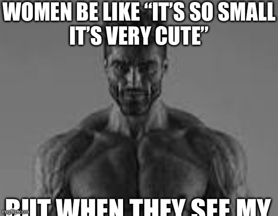 Giga chad | WOMEN BE LIKE “IT’S SO SMALL
IT’S VERY CUTE”; BUT WHEN THEY SEE MY | image tagged in giga chad | made w/ Imgflip meme maker