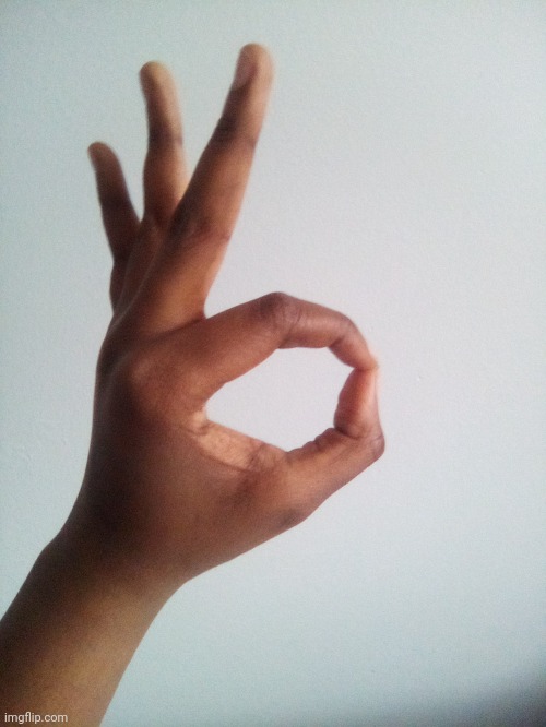 Another hand pose sign reveal of mine | image tagged in hand,pose,sign,tifflamemez,hands,hand reveal | made w/ Imgflip meme maker