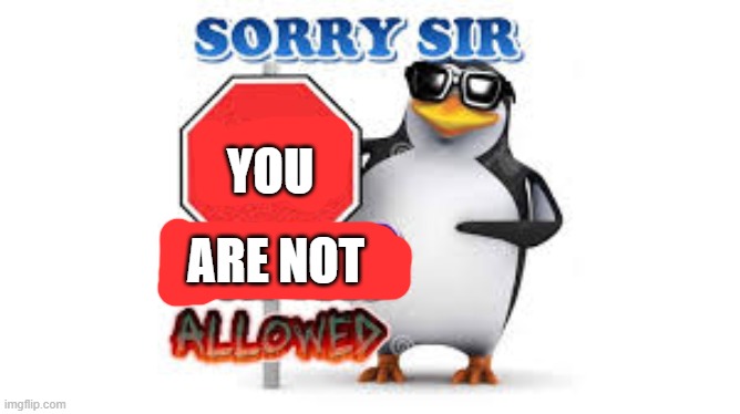 YOU ARE NOT | image tagged in no anime allowed | made w/ Imgflip meme maker