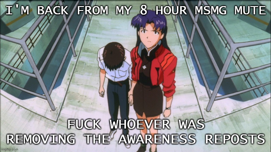 Misato and Shinji | I'M BACK FROM MY 8 HOUR MSMG MUTE; FUCK WHOEVER WAS REMOVING THE AWARENESS REPOSTS | image tagged in misato and shinji | made w/ Imgflip meme maker