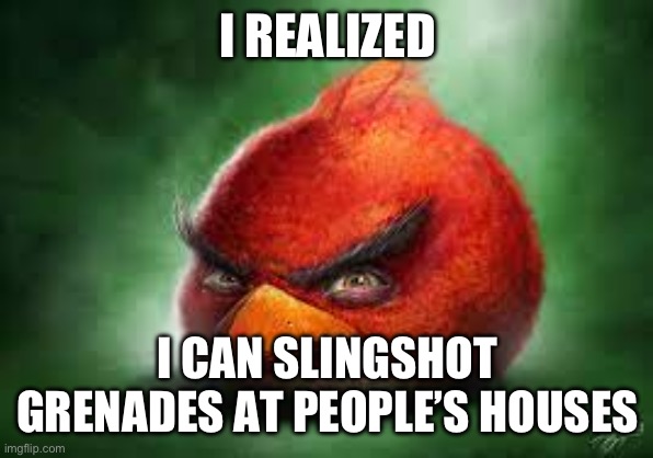 Realistic Red Angry Birds | I REALIZED; I CAN SLINGSHOT GRENADES AT PEOPLE’S HOUSES | image tagged in realistic red angry birds | made w/ Imgflip meme maker