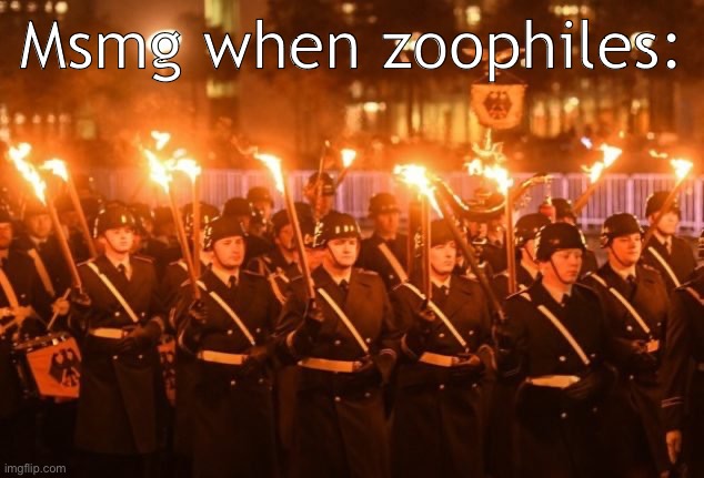 They ain’t getting NO MERCY | Msmg when zoophiles: | image tagged in german military parade | made w/ Imgflip meme maker